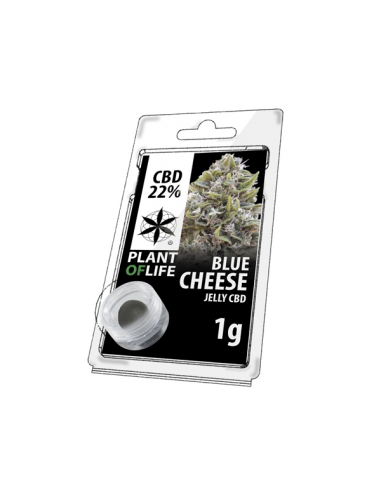 PLANT OF LIFE - Jelly Blue Cheese - 22% CBD - 1g
