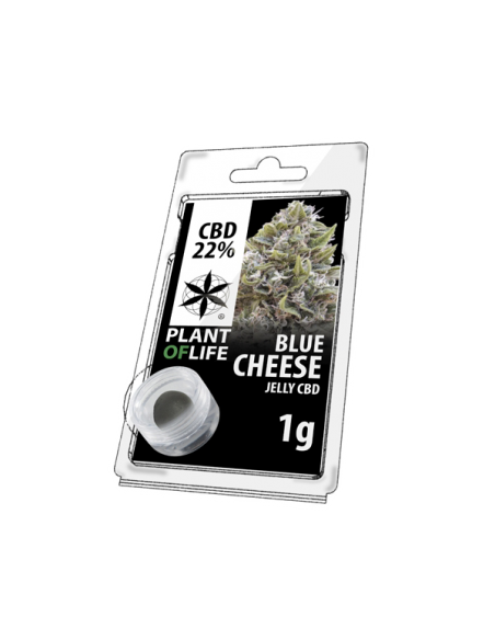 PROMO -20% - PLANT OF LIFE – Jelly Blue Cheese 22 % CBD – 1 g