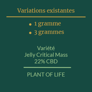 PLANT OF LIFE - Jelly Critical Mass - 22% CBD - 1g / 3g 2