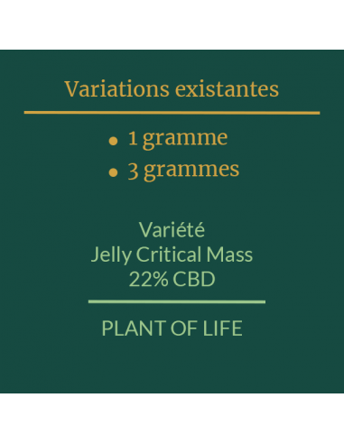 PLANT OF LIFE - Jelly Critical Mass - 22% CBD - 1g / 3g