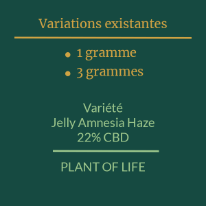PLANT OF LIFE - Jelly Amnesia Haze - 22% CBD - 1g / 3g 2