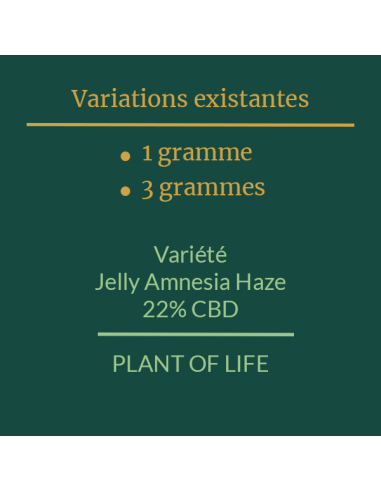 PLANT OF LIFE - Jelly Amnesia Haze - 22% CBD - 1g / 3g