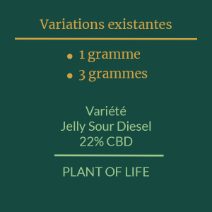PLANT OF LIFE - Jelly Sour Diesel - 22% CBD - 1g / 3g 2