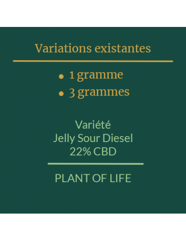 PLANT OF LIFE - Jelly Sour Diesel - 22% CBD - 1g / 3g