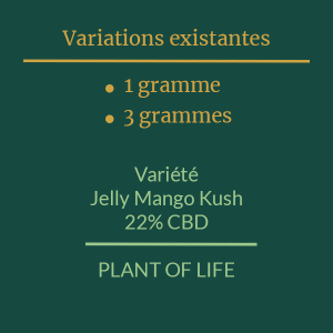 PLANT OF LIFE - Jelly Mango Kush - 22% CBD - 1g / 3g 2