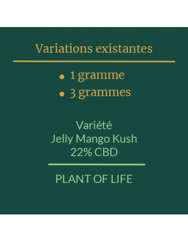 PLANT OF LIFE - Jelly Mango Kush - 22% CBD - 1g / 3g