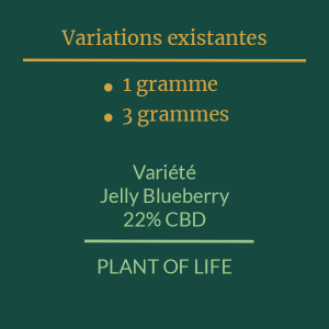 PLANT OF LIFE - Jelly Blueberry - 22% CBD - 1g / 3g 2