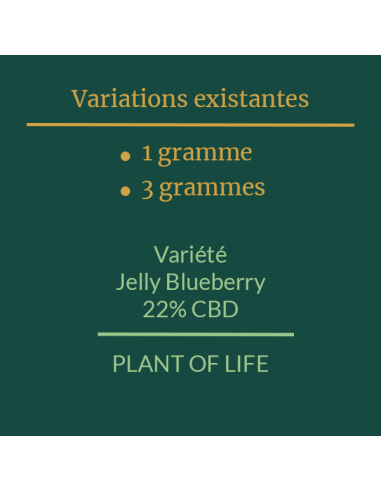 PLANT OF LIFE - Jelly Blueberry - 22% CBD - 1g / 3g