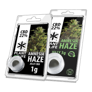 PLANT OF LIFE - Jelly Amnesia Haze - 22% CBD - 1g / 3g