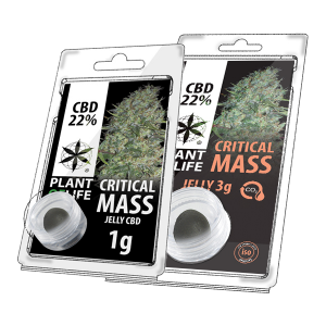 PLANT OF LIFE - Jelly Critical Mass - 22% CBD - 1g / 3g