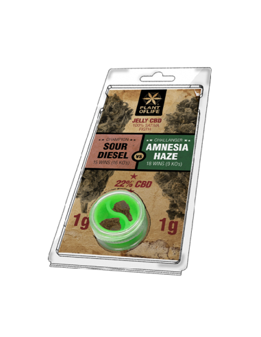 PLANT OF LIFE - Jelly Sour Diesel VS Amnesia Haze - 22% CBD - 1g + 1g