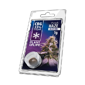 PROMO -20% - PLANT OF LIFE...