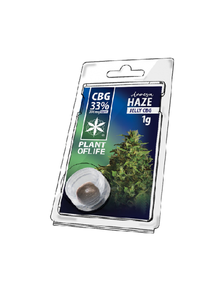 PLANT OF LIFE - Jelly Amnesia - 33% CBG - 1g