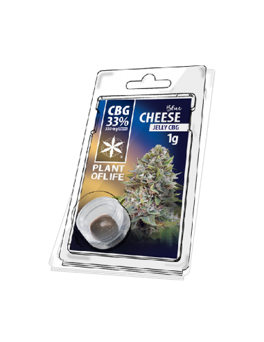 LANT OF LIFE - Jelly Blue Cheese - 33% CBG