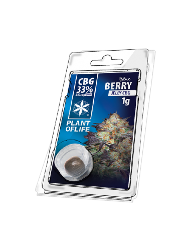 PLANT OF LIFE - Jelly Blueberry - 33% CBG - 1g