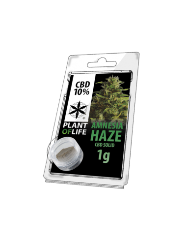 PLANT OF LIFE - Solid Amnesia Haze - 10% CBD - 1g
