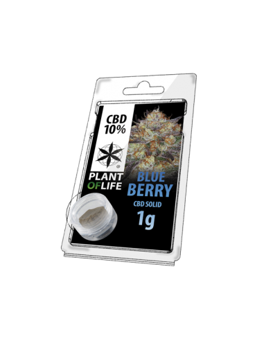 PLANT OF LIFE - Solid Blueberry - 10% CBD - 1g