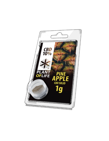 PLANT OF LIFE - Solid Ananas / Pineapple - 10% CBD - 1g
