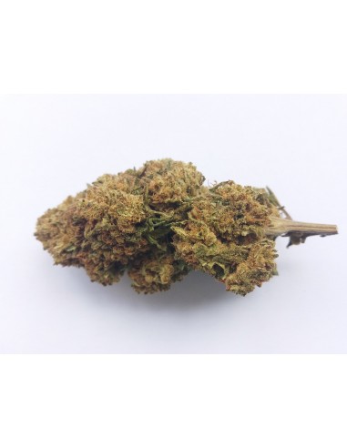 Fleurs de CBD - HARLEQUIN - différents grammages