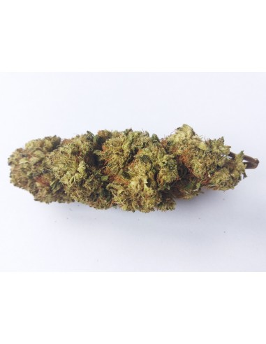 Fleurs de CBD - LEMON ICE - différents grammages