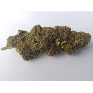Fleurs de CBD - AMNESIA - différents grammages