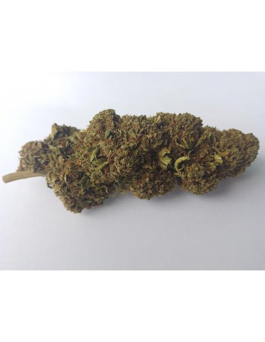 Fleurs de CBD - AMNESIA - différents grammages