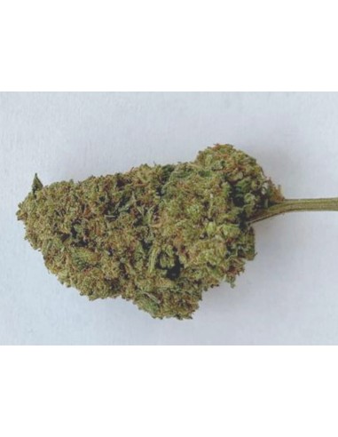 Fleurs de CBD - GORILLA GLUE - différents grammages