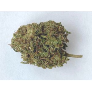 Fleurs de CBD - Runtz - différents grammages