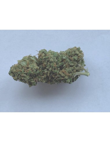 Fleurs de CBD Jack Herer 7,29% CBD –...