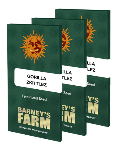 BARNEY'S FARM - Graines féminisées Gorilla Zkittlez