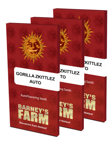BARNEY'S FARM - Graines féminisées Gorilla Zkittlez Auto