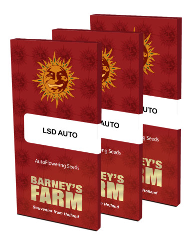 BARNEY'S FARM - Graines féminisées LSD Auto