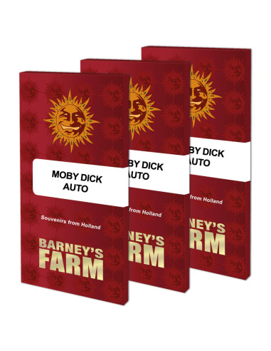 BARNEY'S FARM - Graines féminisées Moby Dick Auto