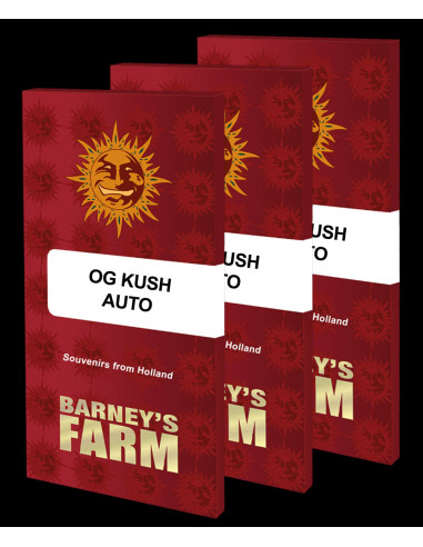 BARNEY'S FARM - Graines féminisées OG Kush Auto