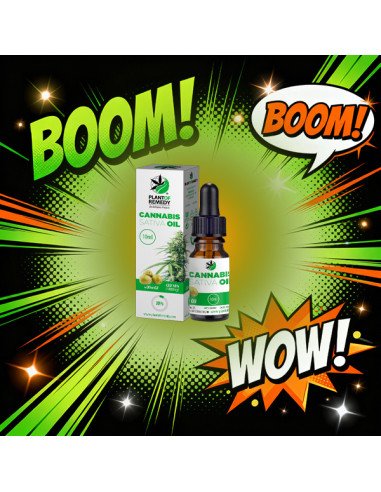 BLACK FRIDAY - PLANT OF REMEDY - Huile CBD Base Olive - 10% CBD (1000mg) - 10ml