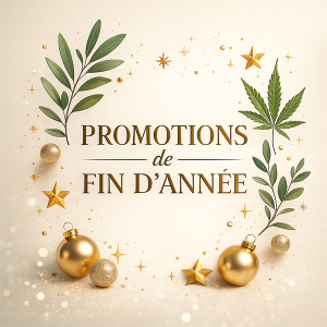 VIVE LES FETES - 30% - ANNABIS - Activecann Warming Gel - chauffant - 1000ml