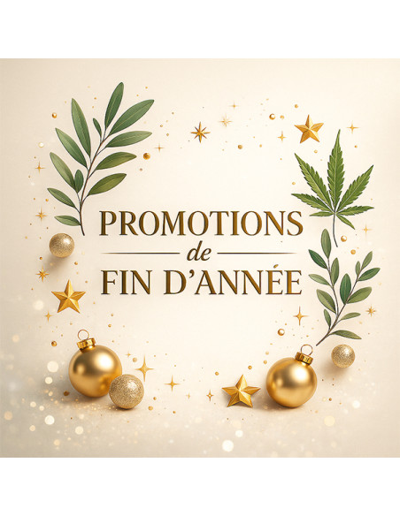 VIVE LES FETES - 25% - ANNABIS - Coffret La Fée Annabis : Naturellement belle, naturellement protégée