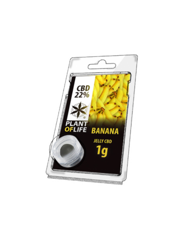 PLANT OF LIFE - Jelly Banane / Banana - 22% CBD - 1g