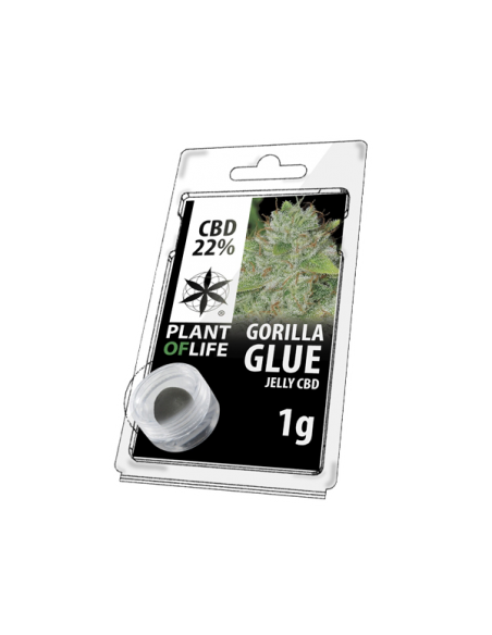 PLANT OF LIFE - Jelly Gorilla Glue 22% CBD - 1g