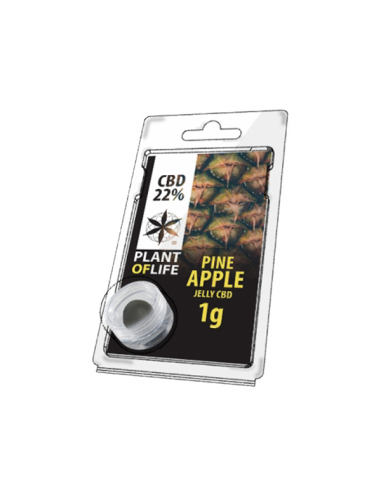 PLANT OF LIFE - Jelly Ananas / Pineapple - 22% CBD - 1g