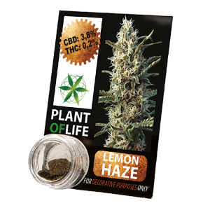 PLANT OF LIFE - Compress Lemon Haze - 3.8% CBD - 1g