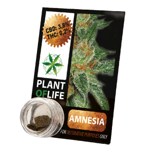 PLANT OF LIFE - Compress Amnesia Haze - 3.8% CBD - 1g