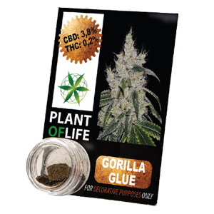 PLANT OF LIFE - Compress Gorilla Glue - 3.8% CBD - 1g
