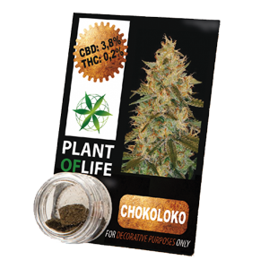 PLANT OF LIFE - Compress Chocoloco - 3.8% CBD - 1g
